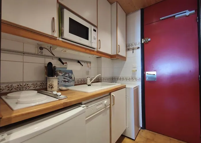 Chaleureux Avec Acces Direct Aux Pistes - Animaux Acceptes - Fr-1-181-2569