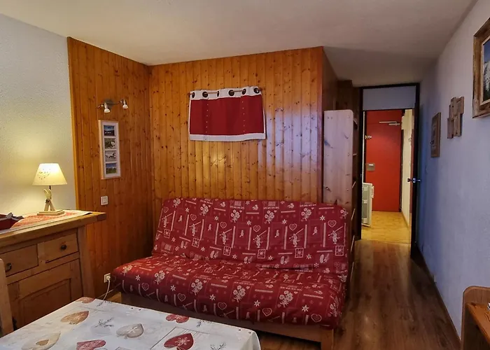 Διαμέρισμα Chaleureux Avec Acces Direct Aux Pistes - Animaux Acceptes - Fr-1-181-2569 La Plagne