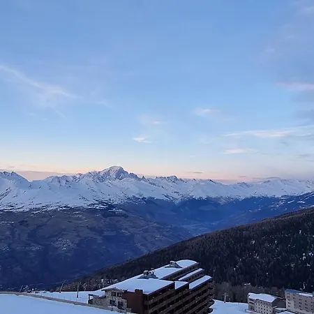 Appartement Chaleureux Avec Acces Direct Aux Pistes - Animaux Acceptes La Plagne