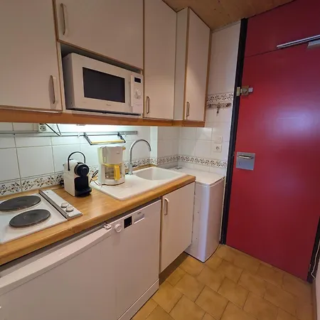 Chaleureux Avec Acces Direct Aux Pistes - Animaux Acceptes - Fr-1-181-2569 Apartment *